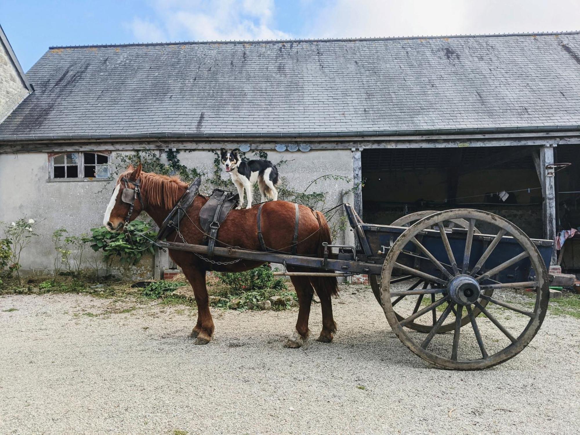 Ferme De Franqueville Ferienhaus *