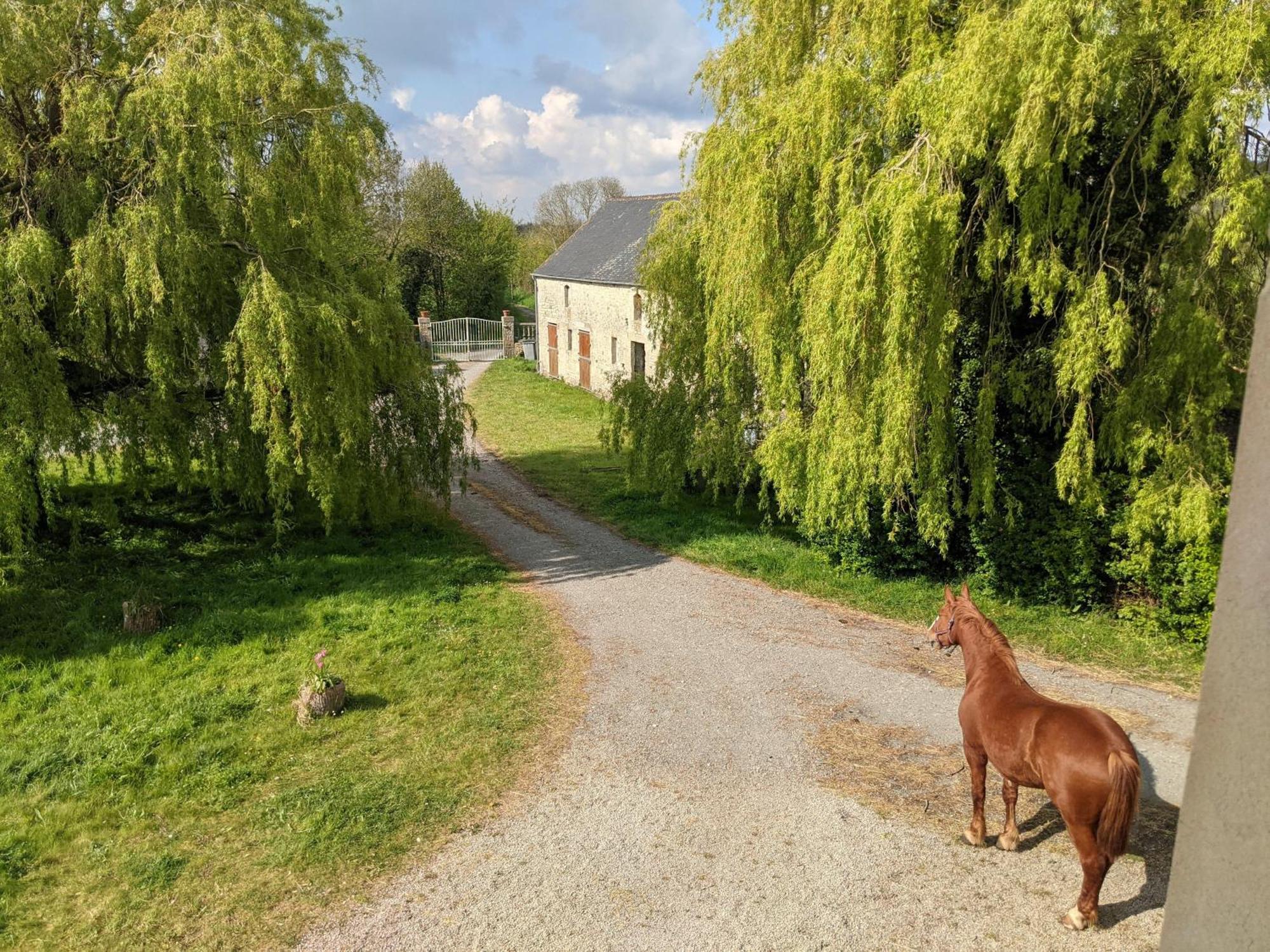 Ferme De Franqueville Ferienhaus Sainte-Marie-du-Mont (Manche)