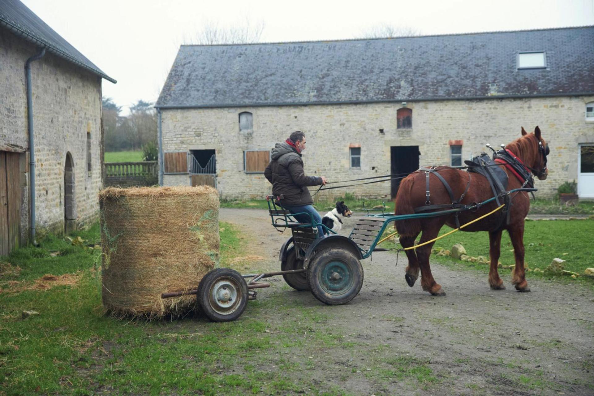 Ferienhaus Ferme De Franqueville *